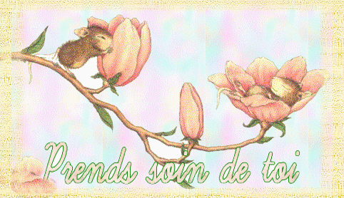 soin prends toi